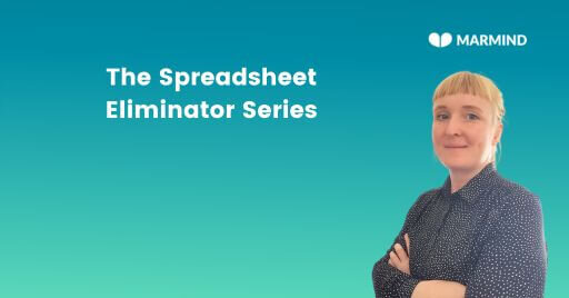 The Spreadsheet Eliminator Series by MARMIND